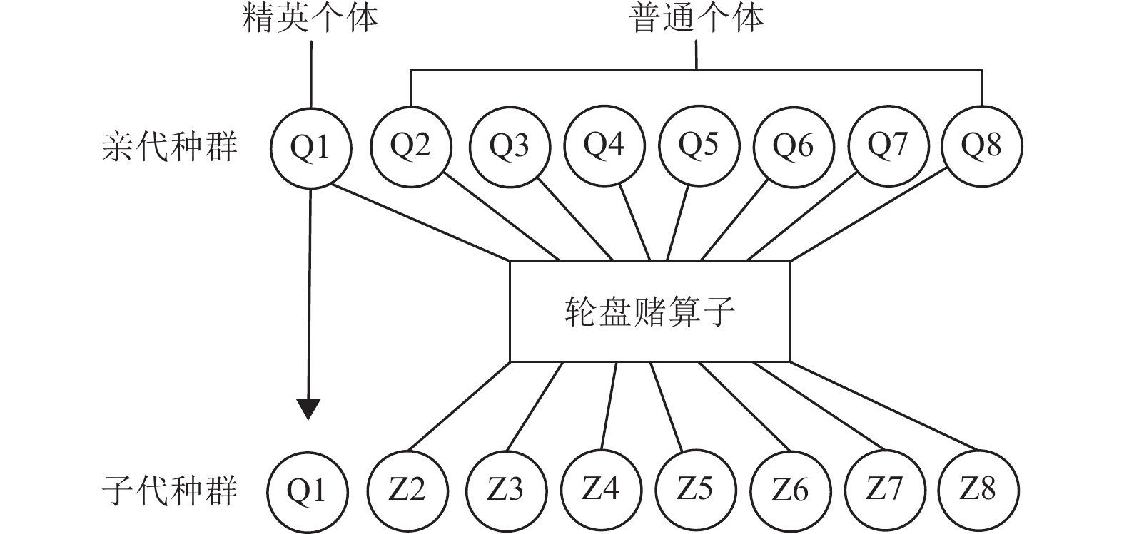 选择算子的精英主义原则